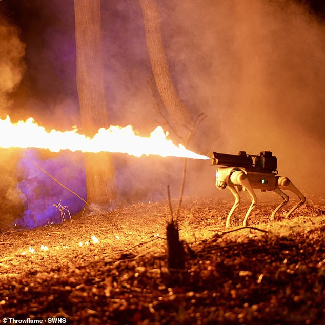 Above, the Thermonator, the $9,420 flamethrowing robot dog from an Ohio-based company.