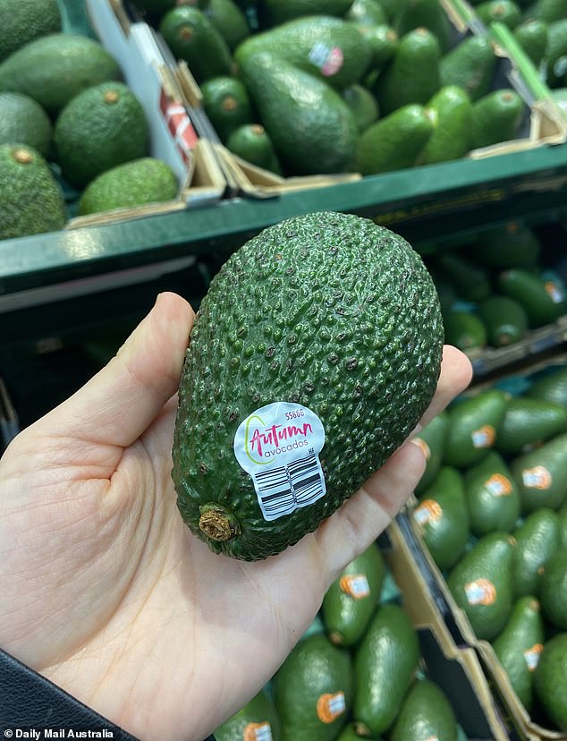 Coles now sells Autumn avocados (pictured) in addition to Shepard