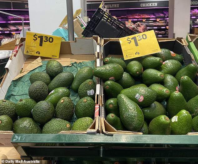 It has a rough, pebble-green skin that darkens as the fruit ripens.  It is also a little larger than Hass.  The Australians have made it clear that Hass avocados are preferred to 