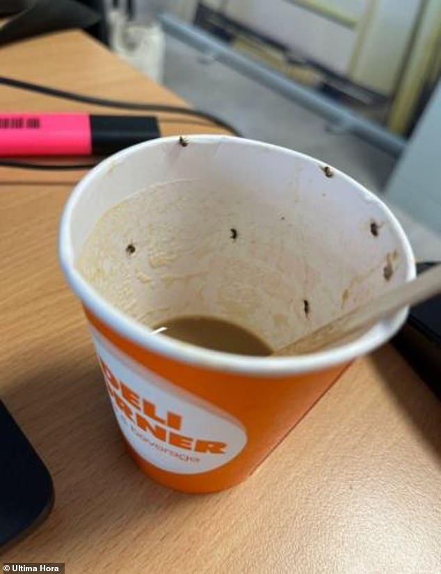 The coffee cup, photographed covered in flies after a 21-year-old woman drank from it, causing an allergic reaction that left her temporarily blind.