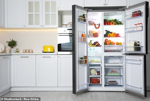 A Canadian renter in Australia was baffled when he realized he had to buy his own refrigerator.