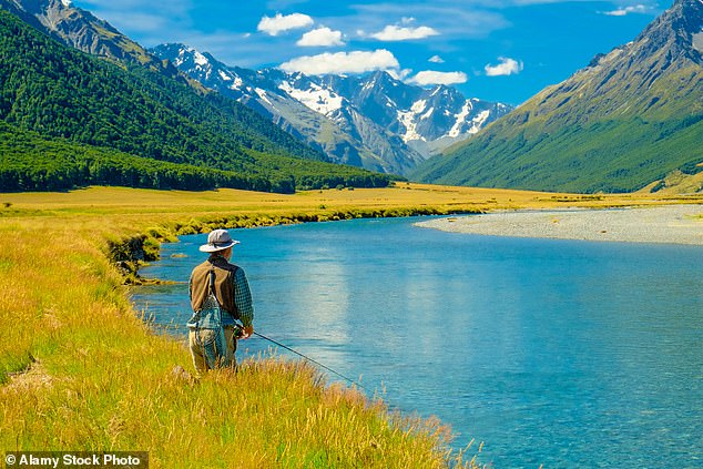 Spectacular: The fresh, unpolluted waters of New Zealand's South Island make the region an extremely special place for anglers to catch brown trout.