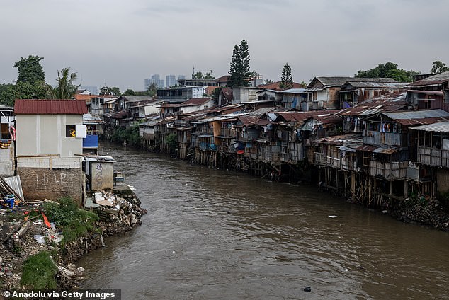 Roads and buildings for the new capital Nusantara, intended to replace the slowly sinking city of Jakarta (pictured), have begun to emerge from the cleared jungle area of ​​the island of Borneo.