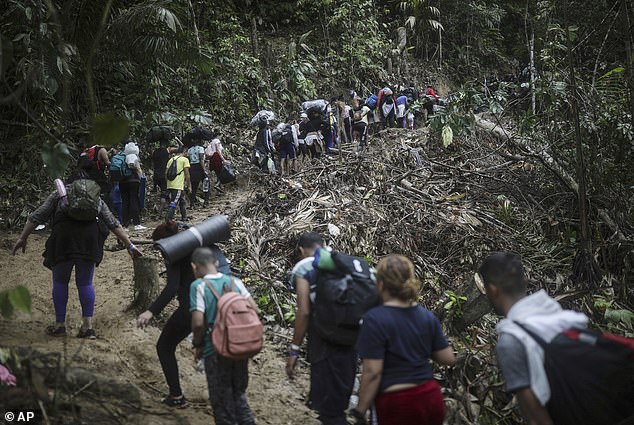 Millions of migrants brave the Darien Gap each year (pictured), but are forced to make the journey mostly on foot, facing dangerous river crossings, wild animals and even violent criminal gangs who extort, kidnap and They abuse them.