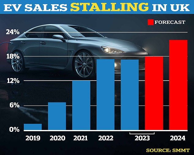 The proportion of electric vehicle sales fell from 16.6 percent in 2022 to 16.5 percent in 2023. It had been forecast to reach 17.7 percent in 2023 (February data).