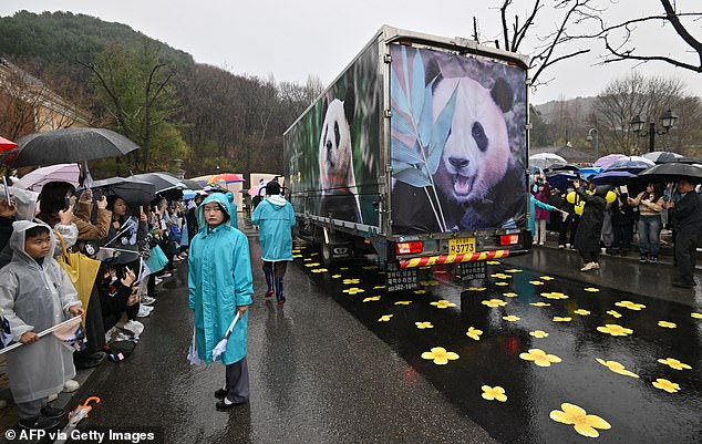 Thousands of people gathered on the streets of South Korea this morning to say goodbye to the panda Fu Bao as he heads to China.