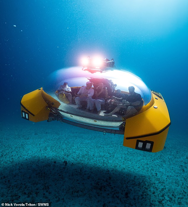 Triton says the submarine can be quickly reconfigured between dives and can offer a variety of dive activities, including dinner or cocktail dives, spa treatments or even underwater gaming experiences.