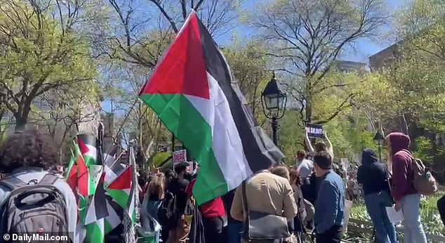A huge cohort of keffiyeh-clad New York University students and faculty filled Washington Square Park on Tuesday to demand the 