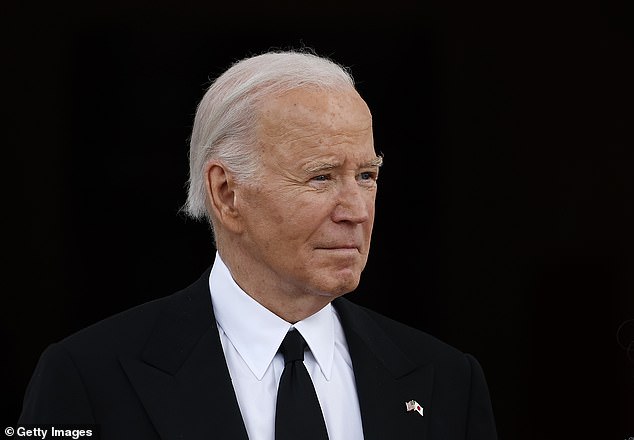 US President Joe Biden (pictured) pledged on Wednesday that US support for Israel is 