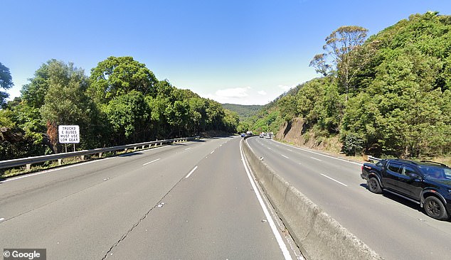 The dog was found at the base of a cliff near Clive Bissell Drive (pictured) in Mount Ousley.