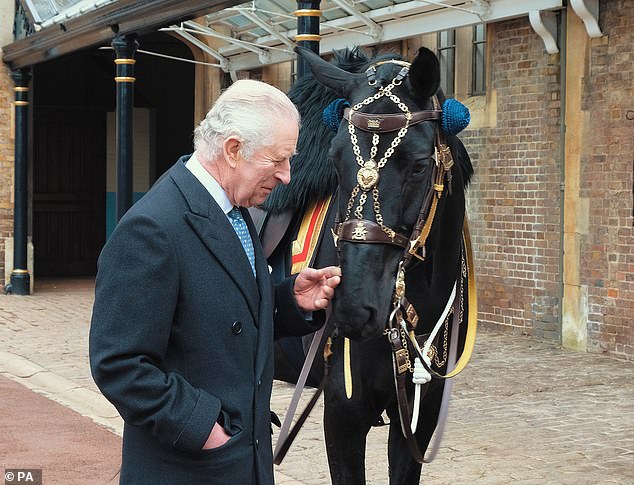 King Charles wants to appear on his favorite horse, Noble, at Trooping the Color in June.  Pictured: King Charles III meets Noble, the horse gifted to him by the Royal Canadian Mounted Police at The Royal Mews in Windsor on March 11, 2023.