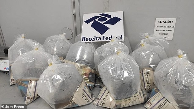 The 12 live rays were kept separate in plastic bags containing water and newspaper pages and stored in three Styrofoam boxes that were shipped from Manaus to São Paulo.