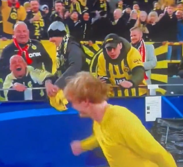 A fan appeared to snatch Julian Brandt's shirt from another fan in a wheelchair