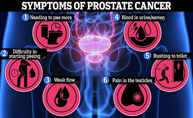 Masturbating Could Reduce Prostate Cancer Risk Expert Says And More