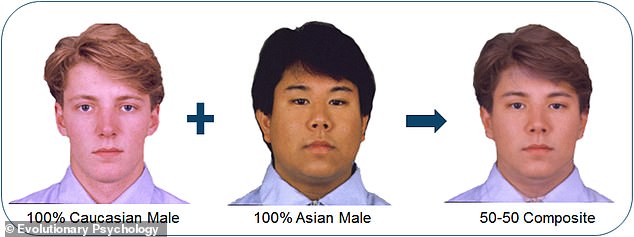 Participants were shown seven pairs of faces (one female and one male in each pair), ranging from 100 percent Asian to 100 percent Caucasian, including morphed biracial compositions of 30 percent, 40 percent, 50 percent , 60 percent.  percent, and 70 percent Caucasian or Asian
