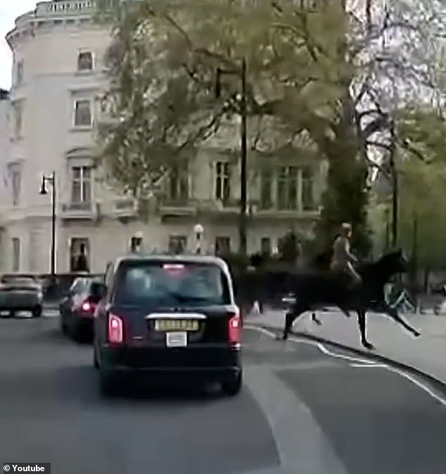 New footage of the Royal Cavalry's runaway horses shows them crashing into parked electric bikes
