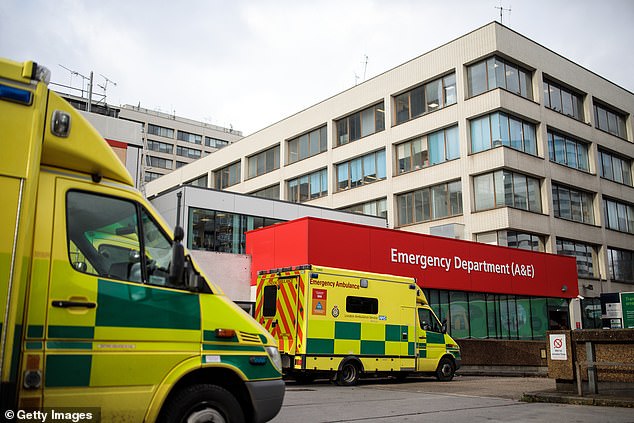 More than 150,000 patients endured emergency waits of more than 24 hours before getting a hospital bed last year, a tenfold increase since 2019, new figures reveal (file image)