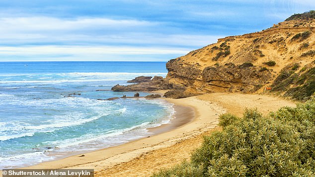 A man's body was found after he planned to snorkel at Sorrento Ocean Beach on Victoria's Mornington Peninsula on Saturday morning (pictured)
