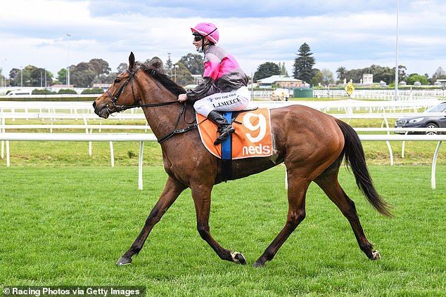 Sirileo Miss, trained by Symon Wilde, won the Group 3 Matron Stakes at Flemington and the Group 2 Sunline Stakes at Moonee Valley before her suspension.