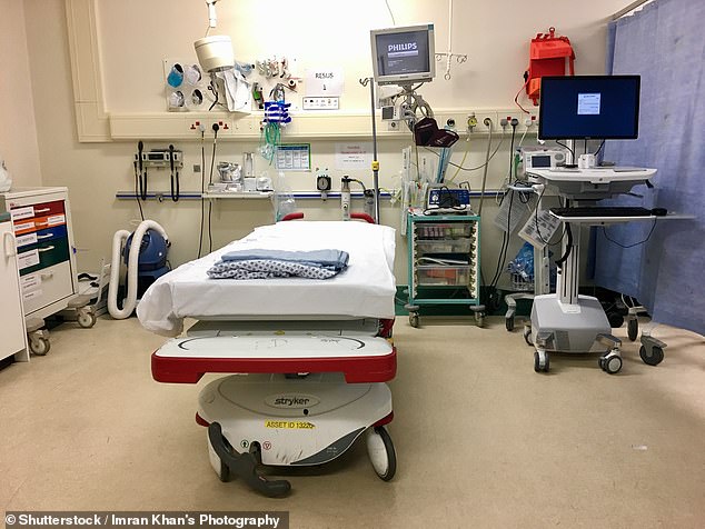 Nearly 100,000 elderly patients waited more than 12 hours on emergency carts last year, including one who spent five days waiting to be admitted (File Image)