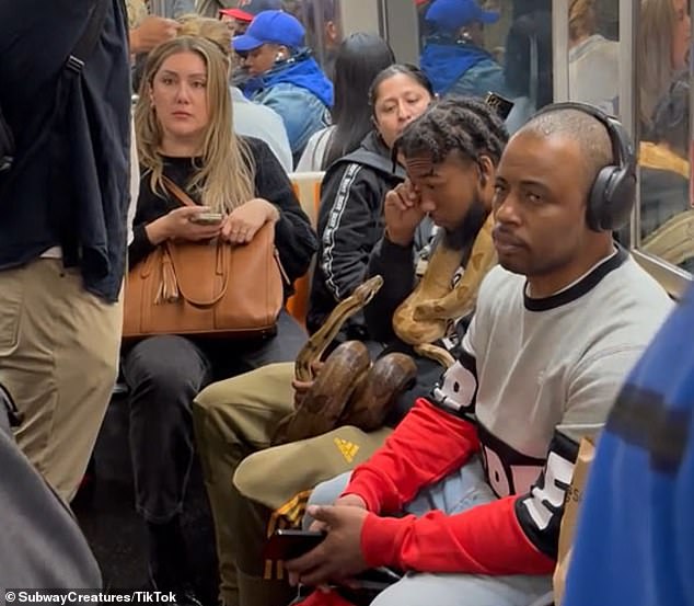 A daring New York subway passenger carried two huge snakes onto a crowded train to the surprise and horror of his fellow passengers.