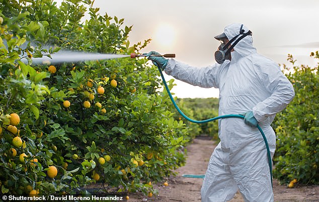 California, where the study subjects were from, is the largest agricultural producer and exporter in the country and there are more than 14,000 pesticide products approved for use there.