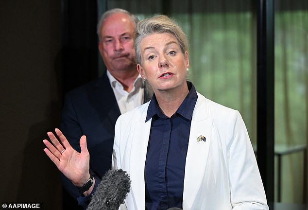 Bridget McKenzie did not stop the Queensland government's plans for the Olympic Games
