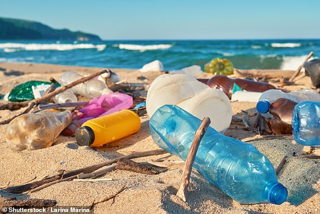 Plastic creates pollution both at the beginning of its life, when the factories that make it produce greenhouse gases, and at the end of its life, when it fouls the natural world and infiltrates human bodies.