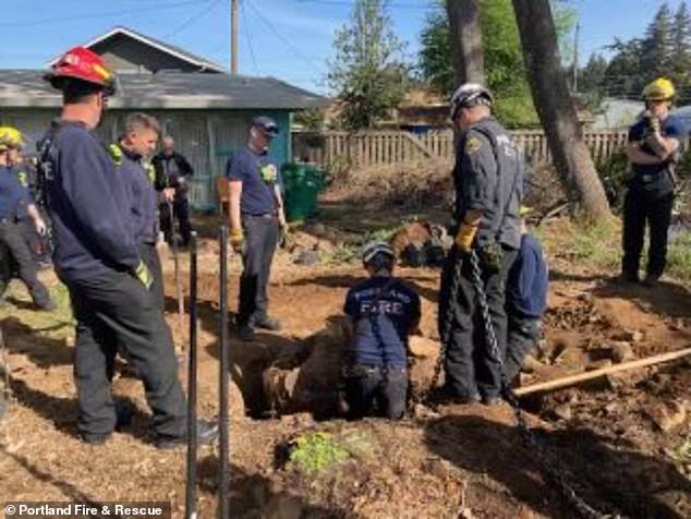 The fatal incident occurred Tuesday night, when the unnamed victim attempted to remove the stump from his backyard.  His body has since been recovered, having been restrained overnight before being discovered.