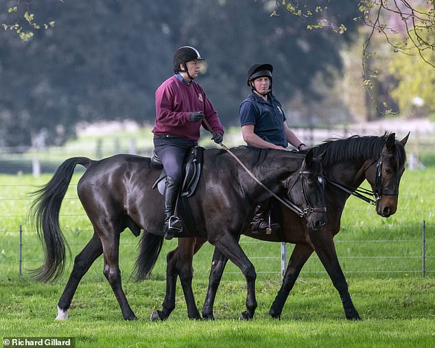 Prince Andrew came to light today while heading for a horse ride in Windsor, a week after Netflix drama Scoop aired about his disastrous Newsnight interview.