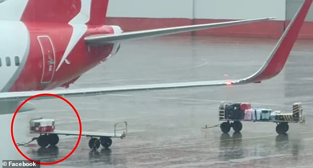 Suitcases and a pet cage are seen abandoned on trolleys on the tarmac next to a Qantas plane.