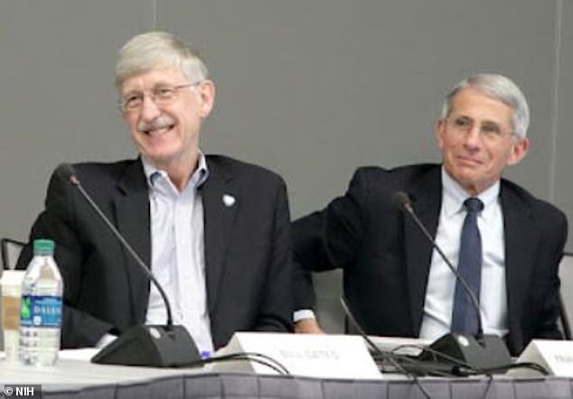 The committee underestimated documents related to Morens' communications with former NIH Director Francis Collins (left) and former NIAID Director Anthony Fauci (right).