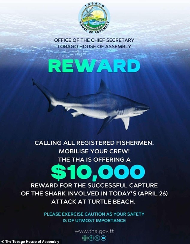 The government originally offered a $10,000 (£8,010) reward for the capture of the shark and asked fishermen to 