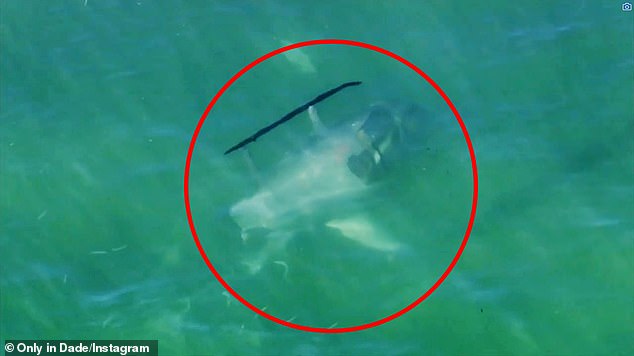 A Robinson R-44 helicopter crashed into the water near Key Biscayne, Florida, on Saturday after the pilot reported engine problems;  In the photo: the helicopter sunk under water.