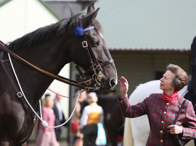 The Horse Trust receives around twenty-five horses a year from the police and army.  The Princess Royal announces that the home was renamed The Horse Trust in 2006
