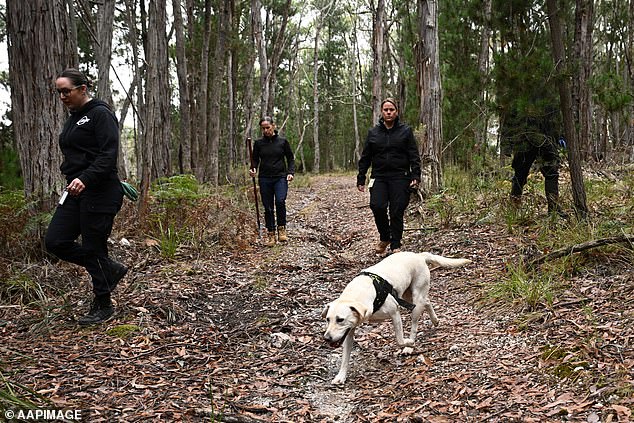 Cadaver dogs were brought in from New South Wales to help find Samantha Murphy's body.