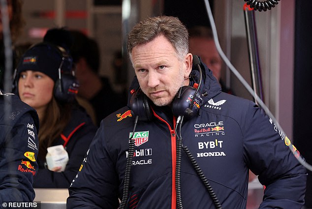 Sebastian Vettel calls for more transparency around Christian Horner