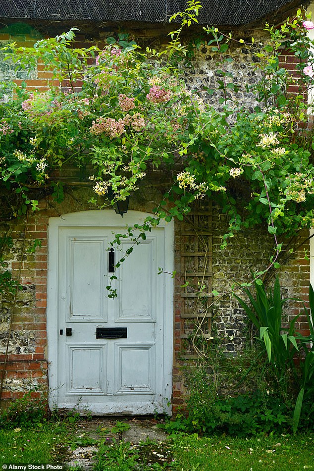 A door leading to a secret garden in Wiltshire - or is it a door to enchantment?