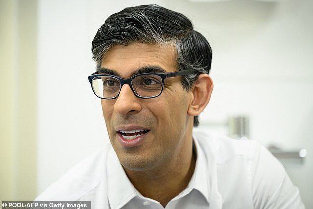 Pessimism on rates: Prime Minister Rishi Sunak (pictured) and Jeremy Hunt expected lower inflation to lead to interest rate cuts in the UK this year.
