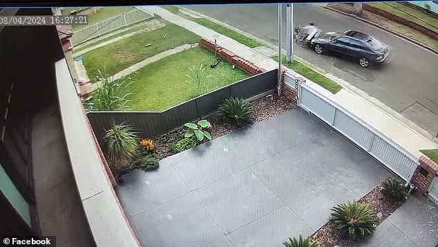 Footage showed a black sedan swerving before hitting a cyclist from behind and then accelerating on a street in Canley Heights, western Sydney, on Monday at 4.27pm.
