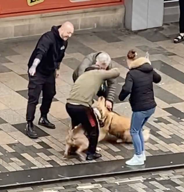 Footage shows two dogs fighting while a group of people try to separate them.