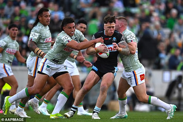 The Sharks returned to the top of the NRL standings after beating Canberra 40-0.