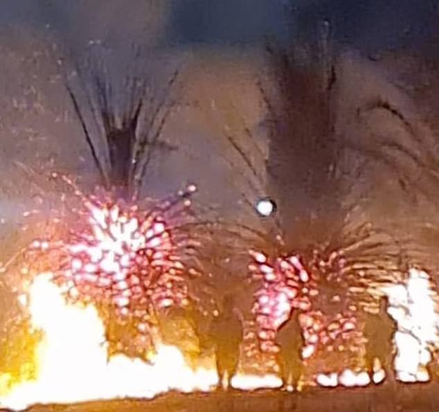 Palm trees along the St Kilda coast burst into flames on Sunday night