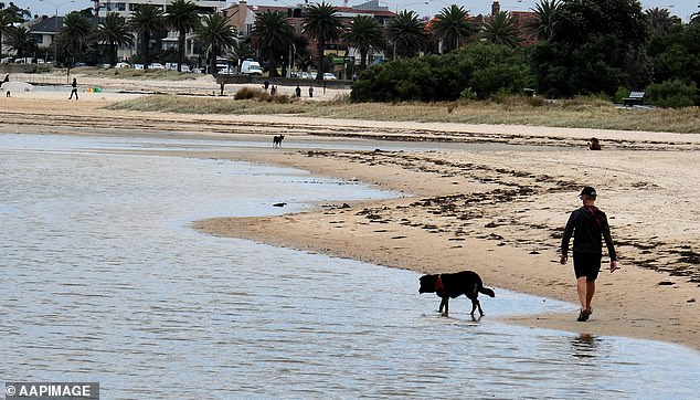 The water in Victoria's Port Phillip Bay has been rated 'poor' due to the presence of contaminants such as oil and faeces.