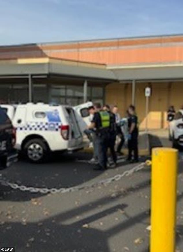 Police tracked the van to the shopping center car park (pictured) before arresting the teenagers in dramatic scenes.