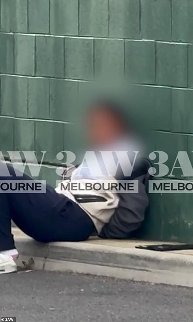A boy (pictured) is among three teenagers arrested by police in Melbourne after officers were led on a wild chase on Monday that ended in a shopping center car park.