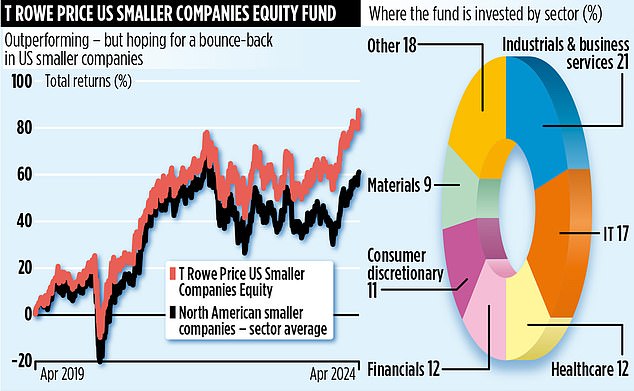 T ROWE PRICE US SMALLER COMPANIES EQUITY FUND Forget the