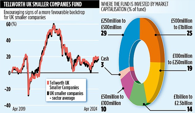 TELLWORTH UK SMALL COMPANIES Fund that buys when companies are