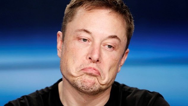 Darker days: Tesla boss Elon Musk has seen the electric car maker's first sales decline in four years