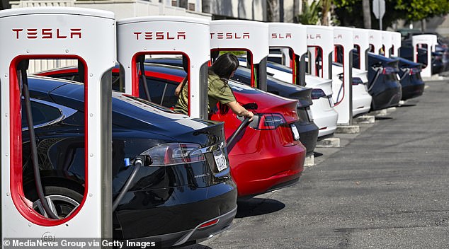 Tesla surprised analysts last month when it announced that sales had fallen for the first time since the height of the pandemic in 2020.